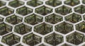Close up view of a metallic honeycomb structure with hexagonal cells creating a repeating pattern Royalty Free Stock Photo