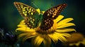 Detailed Macro Shot Of Dark Green Fritillary Butterfly On Sunflower Royalty Free Stock Photo