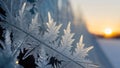 detailed macro shot of frost patterns on a window or surface,