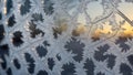 detailed macro shot of frost patterns on a window or surface
