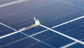Damaged Solar Panel Degradation Close-Up Royalty Free Stock Photo
