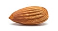 Detailed Macro Shot of a Single Hazelnut Kernel on White Background Royalty Free Stock Photo