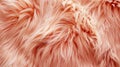 Detailed macro shot of soft peach fur texture, close up view of delicate peach colored animal hair Royalty Free Stock Photo