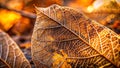 Detailed Macro View of Autumn Leaves Intricate Cell Structure Veins and Patterns for Creative Autumn Designs