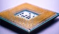 Golden CPU Pins on a Microchip Processor Royalty Free Stock Photo