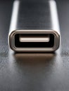 Detailed macro view of a modern usb Type-C connector emphasizing sleek metallic design and smooth surface texture against a dark Royalty Free Stock Photo