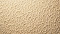 Seamless abstract beige texture background. Rough stucco surface pattern, sand color. Royalty Free Stock Photo