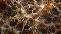Detailed microscopic image of a complex network of interconnected structures