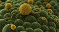 Detailed microscopic view of green cells and pollen Royalty Free Stock Photo
