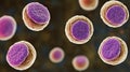 Detailed microscopic view of purple and white cellular structures in biological or medical research