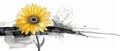 Detailed modern pen and ink illustration of a Gerbera Daisy flower. Colorful yellow head isolated on white background Royalty Free Stock Photo