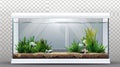 Detailed modern realistic mockup of a rectangular clear tank with water and empty terrariums isolated on a transparent Royalty Free Stock Photo