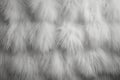 Detailed monochrome animal fur texture background with intricate black and white striped patterns