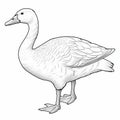 Free Geese Coloring Pages: Realistic Renderings With Historical Illustration Style