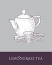 Detailed monochrome drawing of teapot, transparent glass cup and cut lemongrass stems on gray background. Delicious