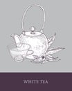 Detailed monochrome drawing of teapot, transparent glass cup of white tea, flowers and leaves on gray background