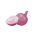 Detailed natural drawing of cut and whole red onion. Fresh organic ripe raw vegetable or gathered crop isolated on white