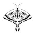 Detailed ornamental sketch of a moth,Hand drawn zentangle for adult anti stress.