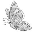 Detailed ornamental sketch of a moth