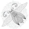 Detailed ornamental sketch of a moth Royalty Free Stock Photo