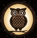 Detailed owl night