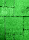 Detailed pavement pattern toned in electric green