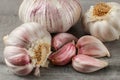 Detailed photo of garlic bulbs, and purple cloves on gray woode