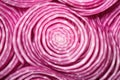 detailed photo of the texture of a cut onion Royalty Free Stock Photo