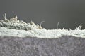 Detailed photography of roof covering material with asbestos fibres. Health harmful and hazards effects Royalty Free Stock Photo