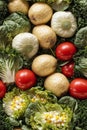 Detailed Photorealistic Seamless Pattern of Mixed Vegetables