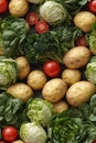 Detailed Photorealistic Seamless Pattern of Mixed Vegetables