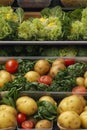 Detailed Photorealistic Seamless Pattern of Mixed Vegetables
