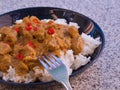 Detailed Picture of typical indian food hot lamb curry with rice and chopped chili served on the deep plate