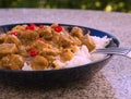 Detailed Picture of typical indian food hot lamb curry with rice and chopped chili served on the deep plate Royalty Free Stock Photo