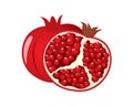 Detailed Pomegranate with the Slice Illustration