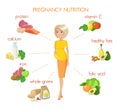 Detailed pregnancy nutrition infographic Royalty Free Stock Photo