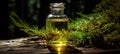 Detailed process of extracting essential oils from conifer trees. Space for text