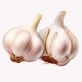 Detailed And Realistic Garlic Bulbs On White Background Royalty Free Stock Photo