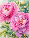 Detailed realistic watercolor peony flower. Floral illustration for web or printed products