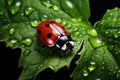 Detailed Red ladybug green leaf nature. Generate Ai Royalty Free Stock Photo