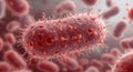 Detailed Red Bacteria Cell Render with Spikes and Textured Surface with Background Bacteria Cells Royalty Free Stock Photo