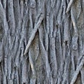 Detailed repeatable close up texture of natural tree bark Royalty Free Stock Photo