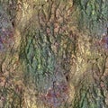 Detailed repeatable close up texture of natural tree bark Royalty Free Stock Photo