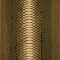 Detailed Brown Snake Skin Texture Royalty Free Stock Photo