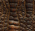 Detailed brown reptile skin with yellow stitching creating a textured surface pattern design Royalty Free Stock Photo
