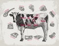 Detailed retro illustration showcasing different cuts of beef on a cow diagram Royalty Free Stock Photo