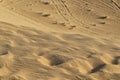 Detailed sand Photograph of Abu Dhabi desert with car tires marks in the sand Royalty Free Stock Photo