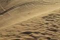 Detailed sand Photograph of Abu Dhabi desert with car tires marks in the sand Royalty Free Stock Photo