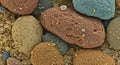 Colorful Granular Particles Under Electron Microscope Royalty Free Stock Photo