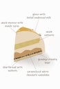 Detailed schematic diagram of cake